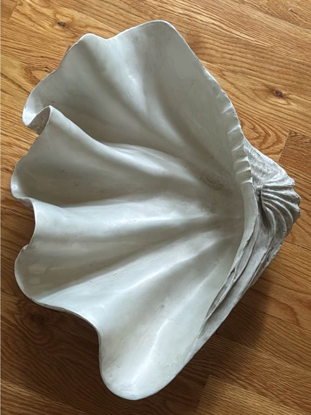 Crisdon Elegant Shell-Shaped Decorative Bowl ice bucket planter i